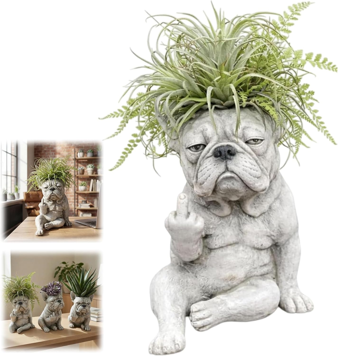 Funny French Bulldog Planter, Grumpy French Bulldog Decor