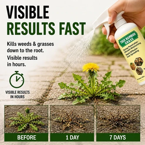 🔥Fast-Acting Natural Weed & Grass Killer Spray
