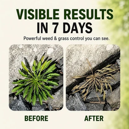 🔥Fast-Acting Natural Weed & Grass Killer Spray